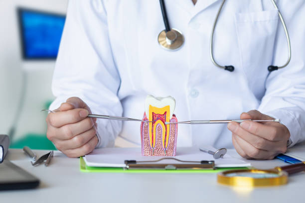 Best Emergency Care for Gum Disease in Venetian Vlage, IL